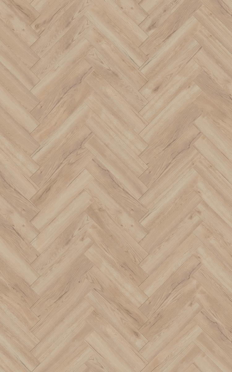 730132-D3678_665_133_V4_-_Area_frontal_sRGB